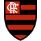Blason Flamengo