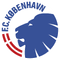 Blason FC København